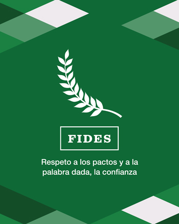 fides-350