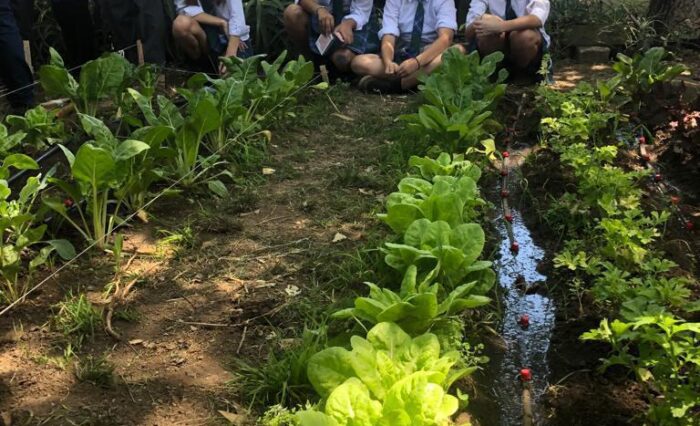 WhatsApp Image 2022-12-16 at 14.07.51